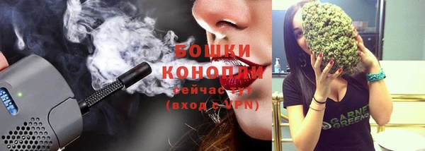 ECSTASY Белокуриха