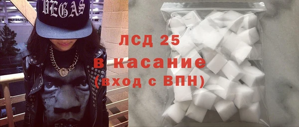 ECSTASY Белокуриха