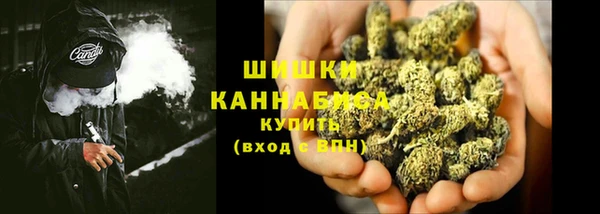 ECSTASY Белокуриха