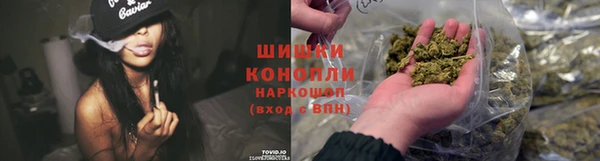 ECSTASY Белокуриха