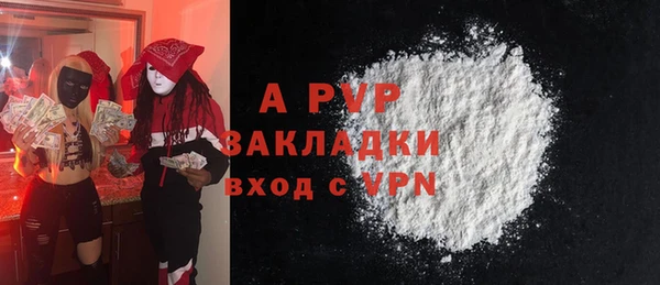 ECSTASY Белокуриха